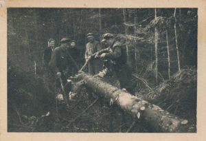 metsanduse ühistegevuse algus 1920 metsaühistu