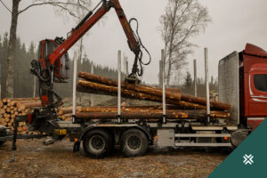 metsa raie puidu teekond metsaühistu